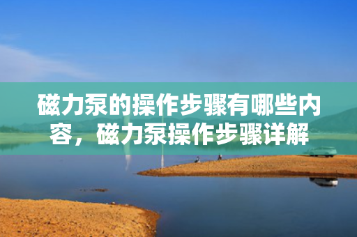 磁力泵的操作步骤有哪些内容，磁力泵操作步骤详解
