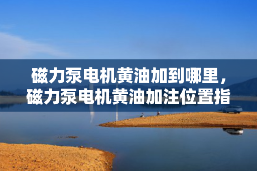 磁力泵电机黄油加到哪里，磁力泵电机黄油加注位置指南