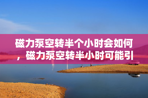 磁力泵空转半个小时会如何，磁力泵空转半小时可能引发的后果