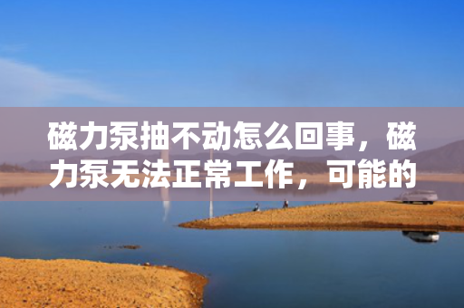 磁力泵抽不动怎么回事，磁力泵无法正常工作，可能的原因及解决方案