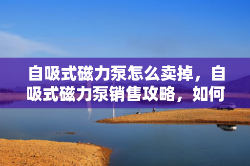 自吸式磁力泵怎么卖掉，自吸式磁力泵销售攻略，如何成功出售您的泵设备