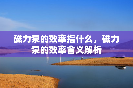 磁力泵的效率指什么，磁力泵的效率含义解析