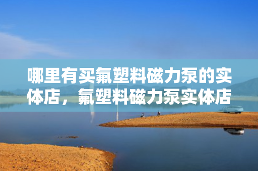 哪里有买氟塑料磁力泵的实体店，氟塑料磁力泵实体店购买指南