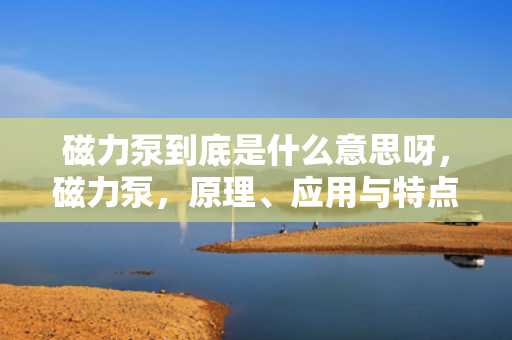 磁力泵到底是什么意思呀，磁力泵，原理、应用与特点解析