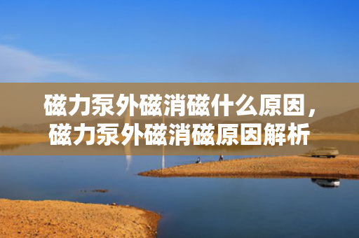 磁力泵外磁消磁什么原因，磁力泵外磁消磁原因解析