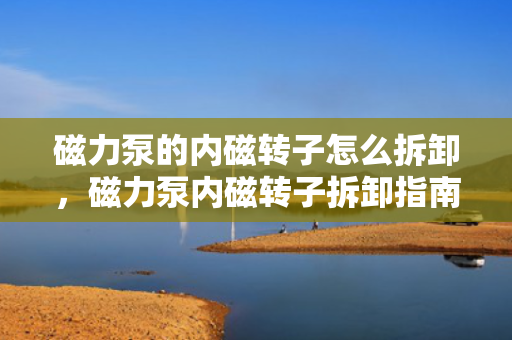 磁力泵的内磁转子怎么拆卸，磁力泵内磁转子拆卸指南