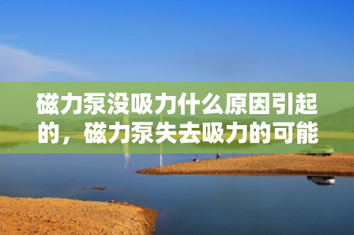 磁力泵没吸力什么原因引起的，磁力泵失去吸力的可能原因解析