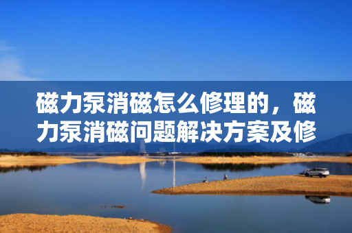 磁力泵消磁怎么修理的，磁力泵消磁问题解决方案及修理指南