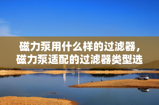 磁力泵用什么样的过滤器，磁力泵适配的过滤器类型选择