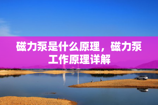 磁力泵是什么原理，磁力泵工作原理详解