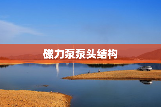 磁力泵泵头结构