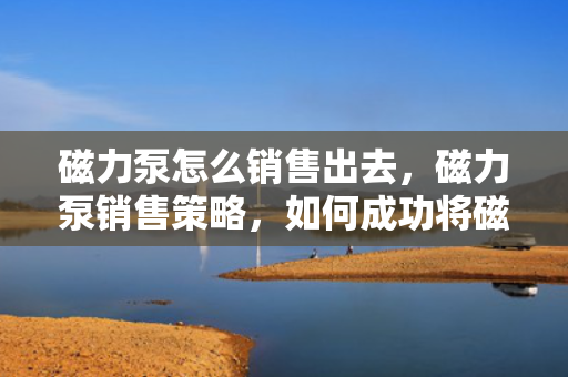 磁力泵怎么销售出去，磁力泵销售策略，如何成功将磁力泵销售出去