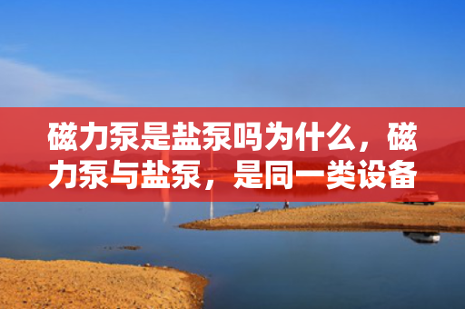 磁力泵是盐泵吗为什么，磁力泵与盐泵，是同一类设备吗？解析两者关系