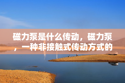 磁力泵是什么传动，磁力泵，一种非接触式传动方式的详解