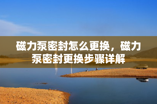 磁力泵密封怎么更换，磁力泵密封更换步骤详解