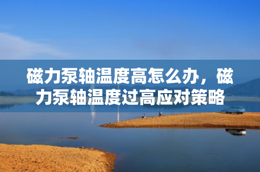 磁力泵轴温度高怎么办，磁力泵轴温度过高应对策略