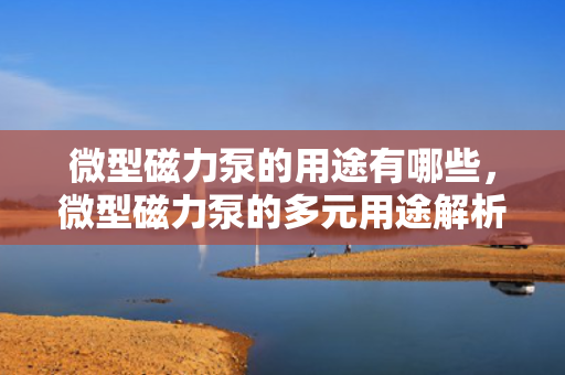微型磁力泵的用途有哪些，微型磁力泵的多元用途解析