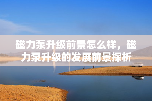 磁力泵升级前景怎么样，磁力泵升级的发展前景探析