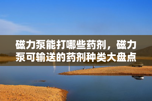 磁力泵能打哪些药剂，磁力泵可输送的药剂种类大盘点