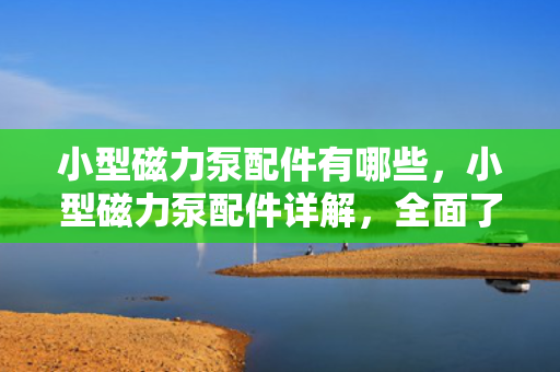 小型磁力泵配件有哪些，小型磁力泵配件详解，全面了解所需部件