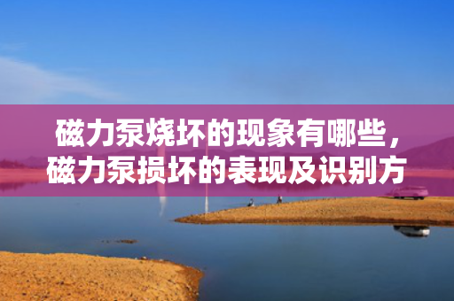 磁力泵烧坏的现象有哪些，磁力泵损坏的表现及识别方法