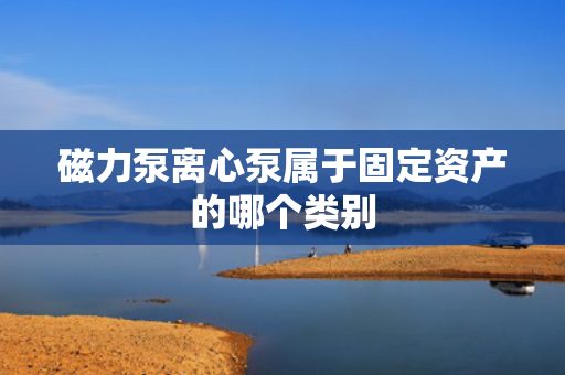 磁力泵离心泵属于固定资产的哪个类别