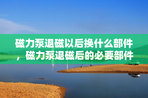 磁力泵退磁以后换什么部件，磁力泵退磁后的必要部件更换指南