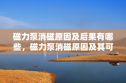 磁力泵消磁原因及后果有哪些，磁力泵消磁原因及其可能引发的后果解析