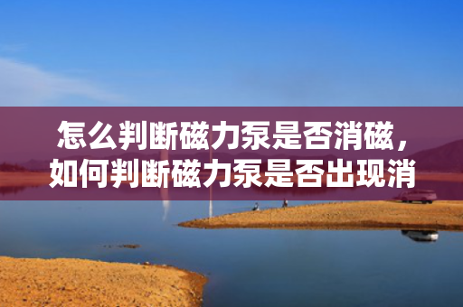 怎么判断磁力泵是否消磁，如何判断磁力泵是否出现消磁情况