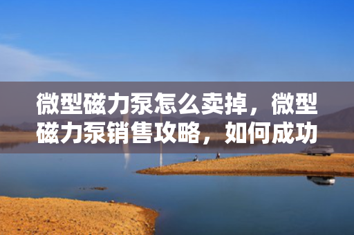 微型磁力泵怎么卖掉，微型磁力泵销售攻略，如何成功出售您的设备