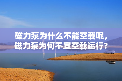磁力泵为什么不能空载呢，磁力泵为何不宜空载运行？