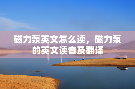 磁力泵英文怎么读，磁力泵的英文读音及翻译