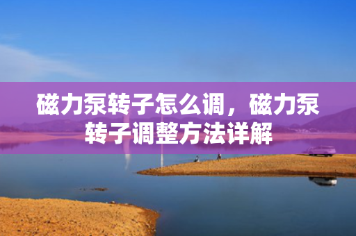 磁力泵转子怎么调，磁力泵转子调整方法详解