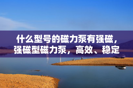 什么型号的磁力泵有强磁，强磁型磁力泵，高效、稳定、可靠的动力选择