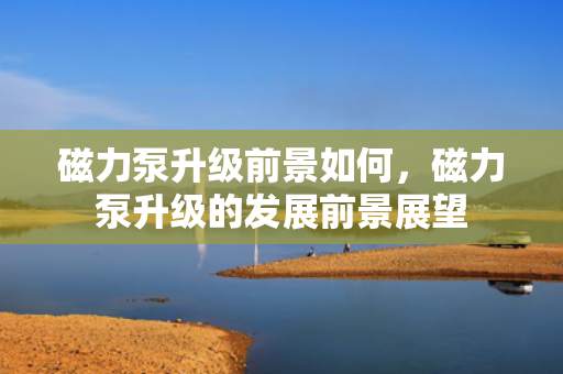 磁力泵升级前景如何，磁力泵升级的发展前景展望
