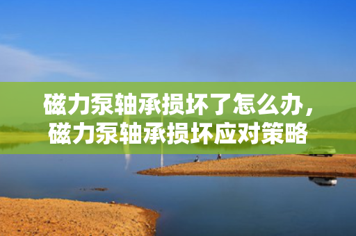 磁力泵轴承损坏了怎么办，磁力泵轴承损坏应对策略