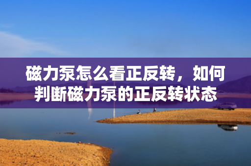磁力泵怎么看正反转，如何判断磁力泵的正反转状态