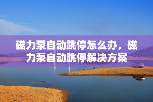 磁力泵自动跳停怎么办，磁力泵自动跳停解决方案