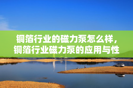 铜箔行业的磁力泵怎么样，铜箔行业磁力泵的应用与性能评析