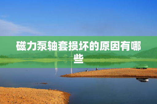 磁力泵轴套损坏的原因有哪些