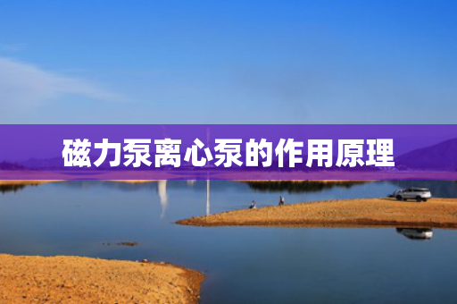 磁力泵离心泵的作用原理