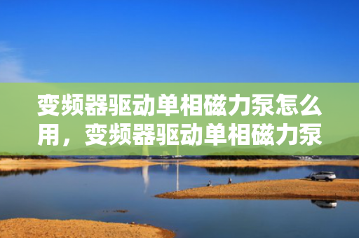 变频器驱动单相磁力泵怎么用，变频器驱动单相磁力泵的操作指南
