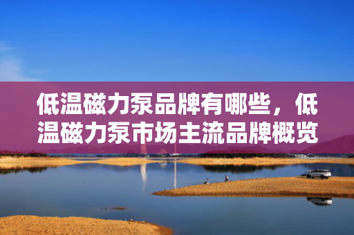 低温磁力泵品牌有哪些，低温磁力泵市场主流品牌概览