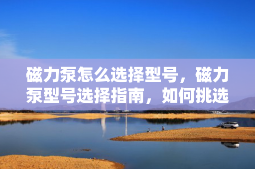 磁力泵怎么选择型号，磁力泵型号选择指南，如何挑选适合的磁力泵
