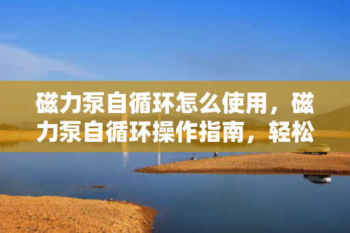 磁力泵自循环怎么使用，磁力泵自循环操作指南，轻松掌握使用方法
