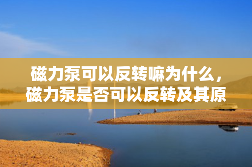 磁力泵可以反转嘛为什么，磁力泵是否可以反转及其原因解析