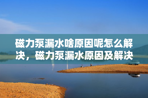 磁力泵漏水啥原因呢怎么解决，磁力泵漏水原因及解决方案