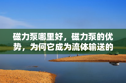 磁力泵哪里好，磁力泵的优势，为何它成为流体输送的首选？