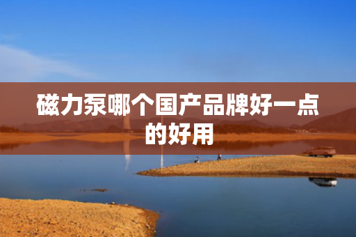 磁力泵哪个国产品牌好一点的好用
