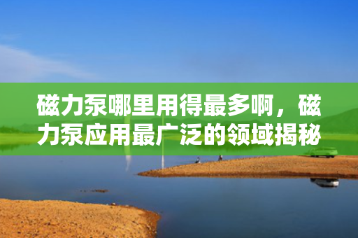 磁力泵哪里用得最多啊，磁力泵应用最广泛的领域揭秘